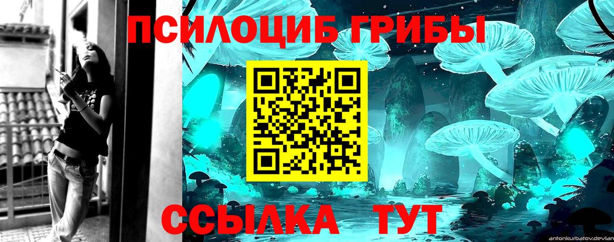 Псилоцибиновые грибы ЛСД Луга