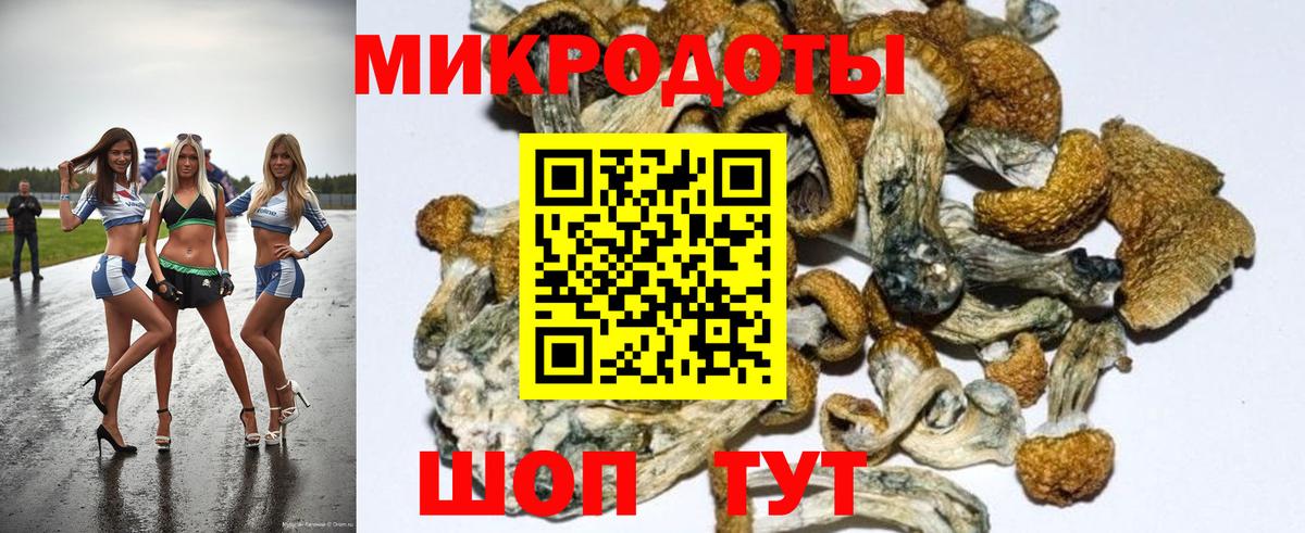 Галлюциногенные грибы мицелий  Вход с VPN  Луга  Псилоцибиновые грибы мицелий 